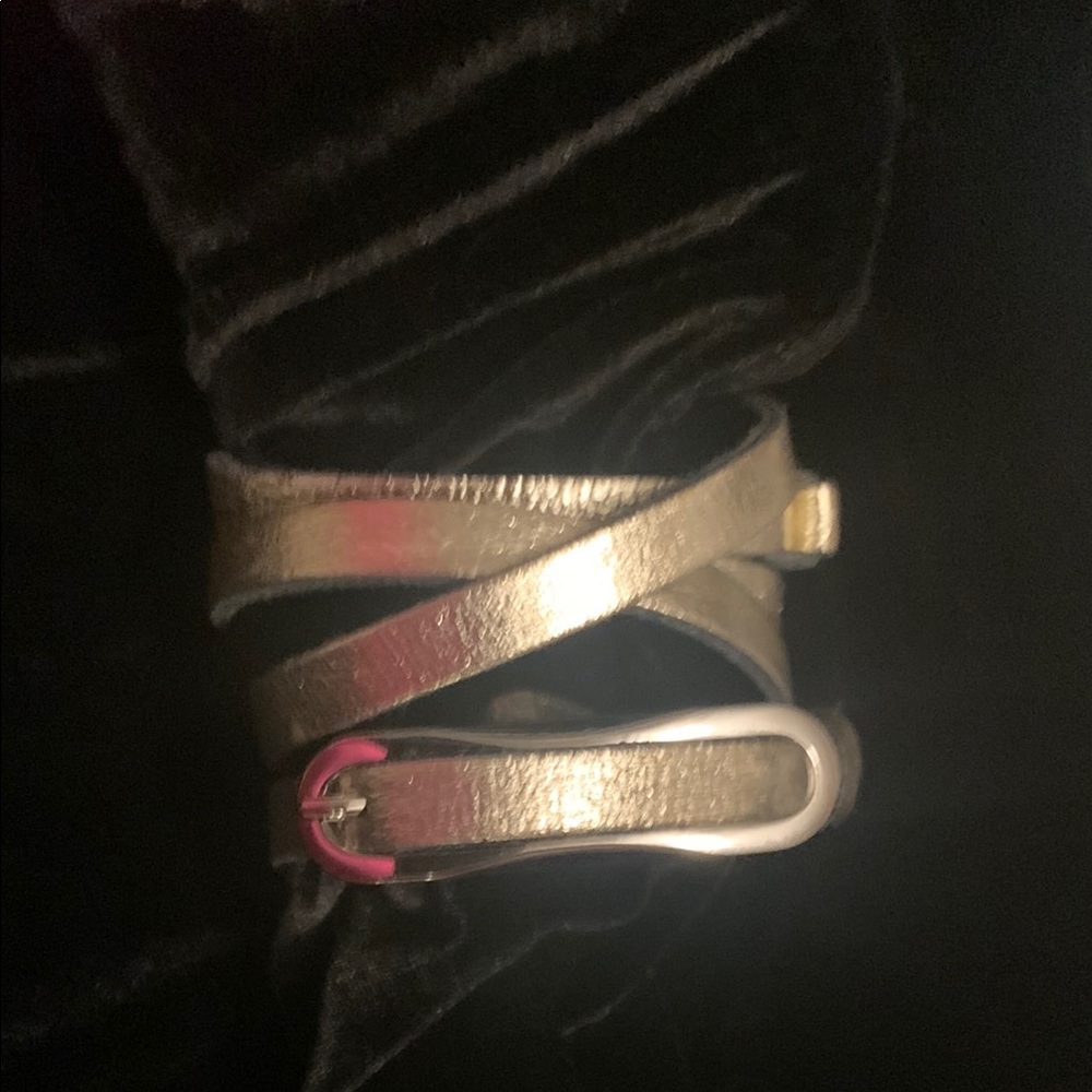Express Gold Belt Classic Accessory - Picture 5 of 6